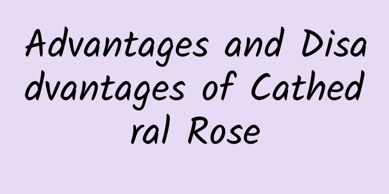 Advantages and Disadvantages of Cathedral Rose