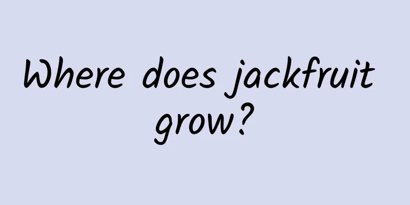 Where does jackfruit grow?