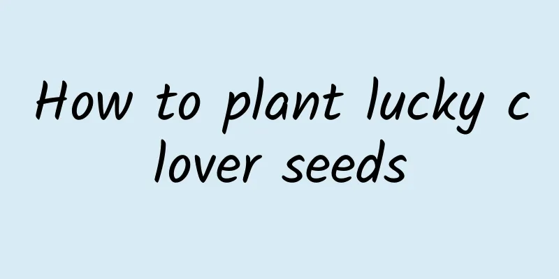 How to plant lucky clover seeds