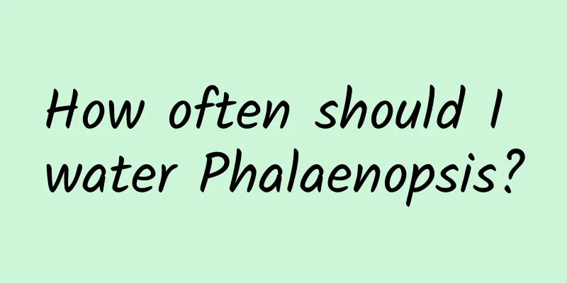 How often should I water Phalaenopsis?