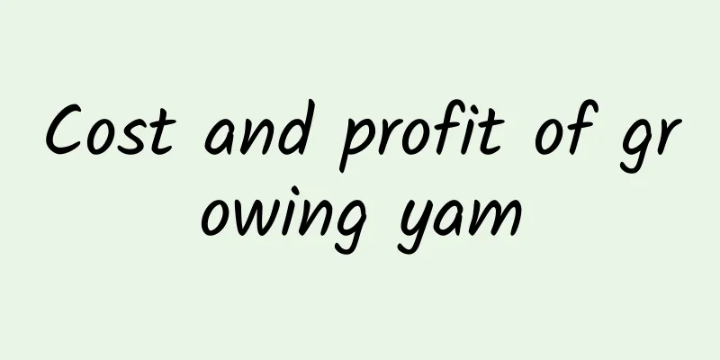 Cost and profit of growing yam