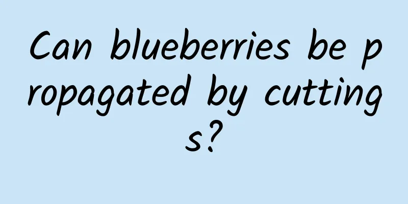 Can blueberries be propagated by cuttings?