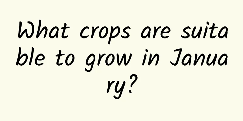 What crops are suitable to grow in January?