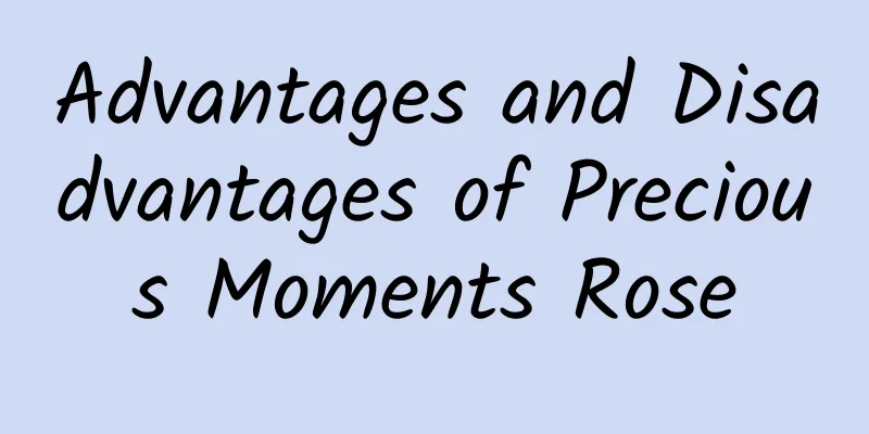 Advantages and Disadvantages of Precious Moments Rose