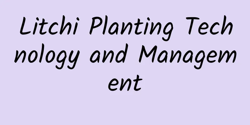 Litchi Planting Technology and Management