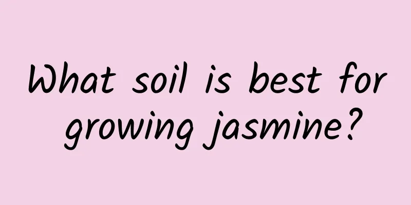 What soil is best for growing jasmine?