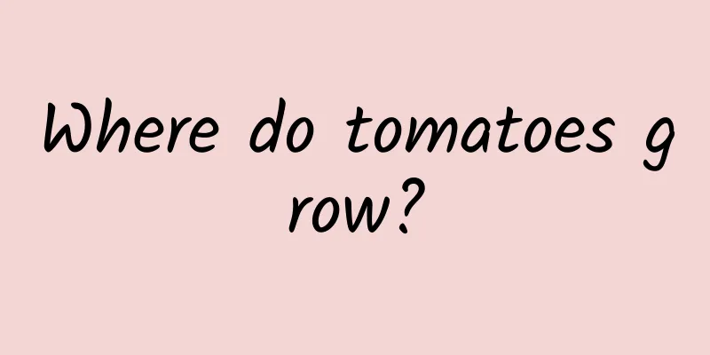 Where do tomatoes grow?