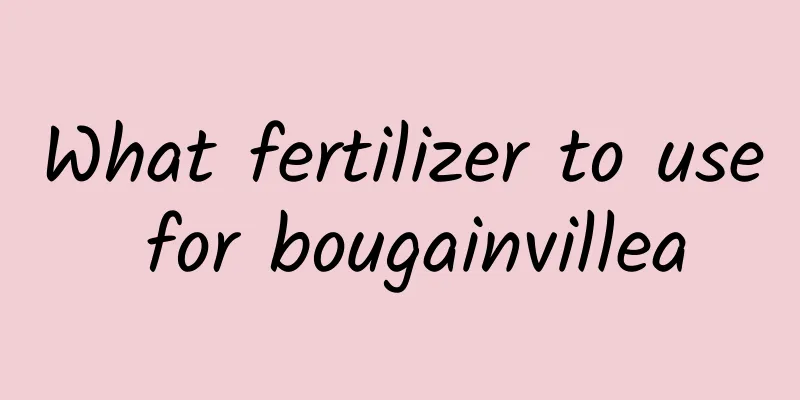 What fertilizer to use for bougainvillea