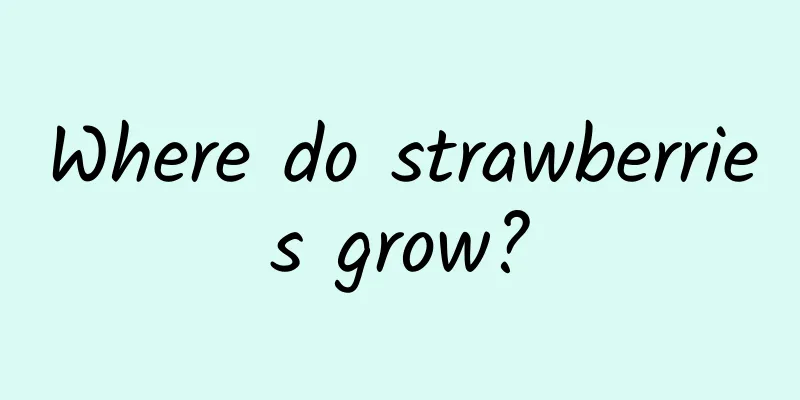 Where do strawberries grow?