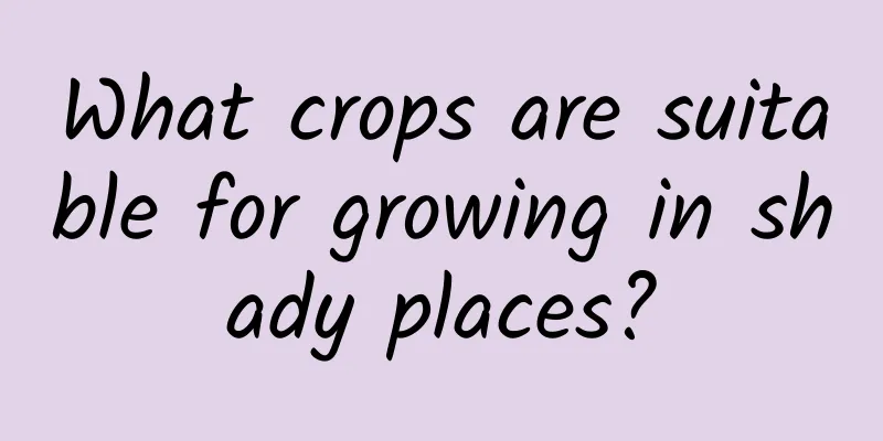 What crops are suitable for growing in shady places?