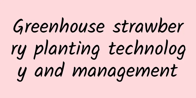 Greenhouse strawberry planting technology and management