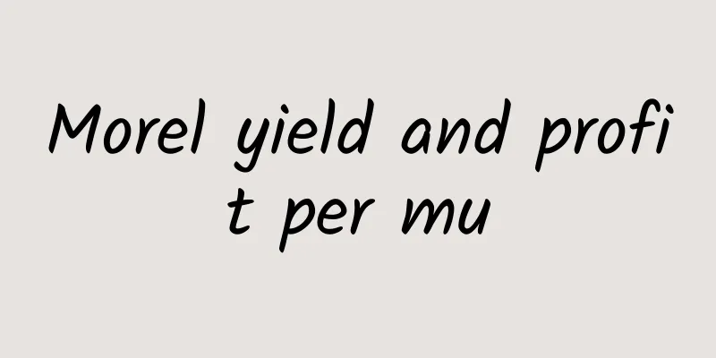 Morel yield and profit per mu