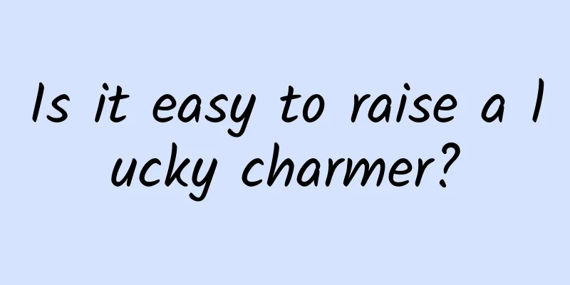 Is it easy to raise a lucky charmer?