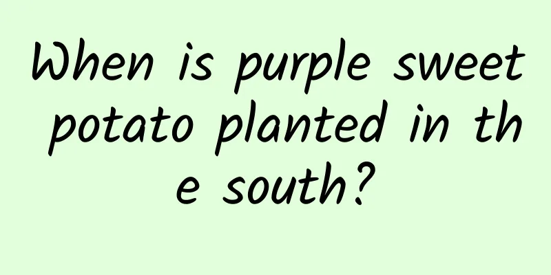 When is purple sweet potato planted in the south?