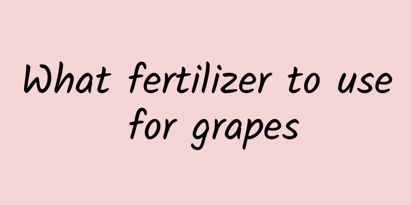 What fertilizer to use for grapes