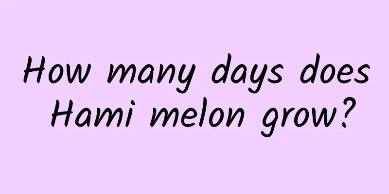 How many days does Hami melon grow?