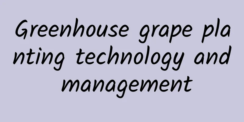 Greenhouse grape planting technology and management
