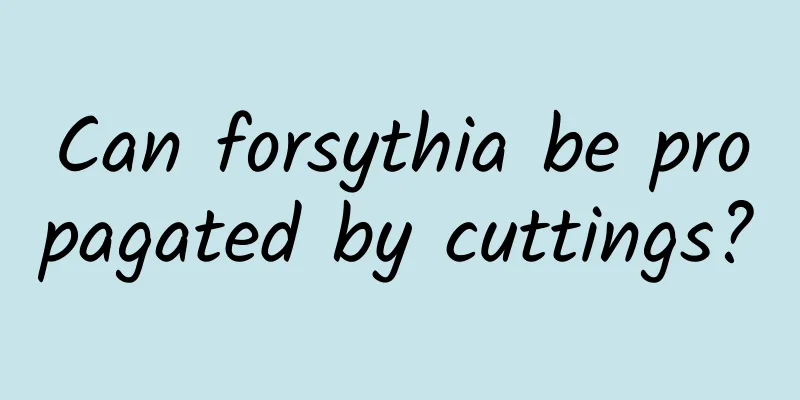 Can forsythia be propagated by cuttings?