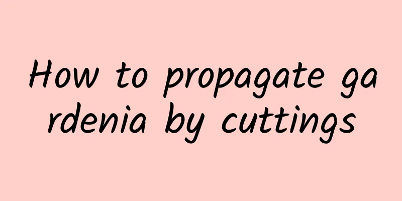 How to propagate gardenia by cuttings