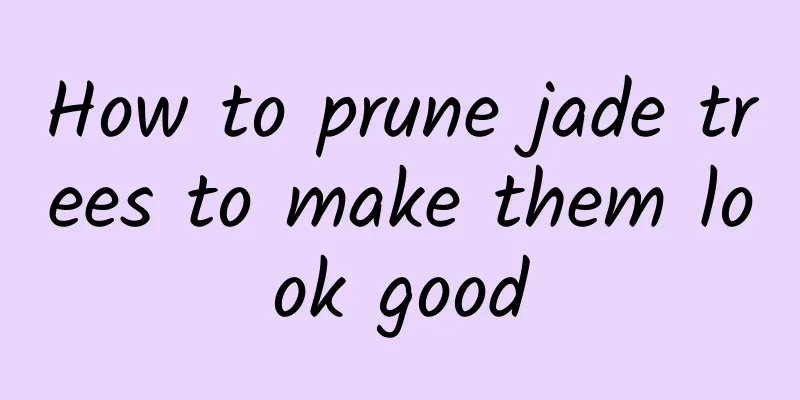 How to prune jade trees to make them look good