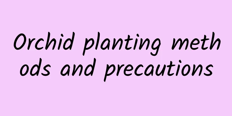 Orchid planting methods and precautions