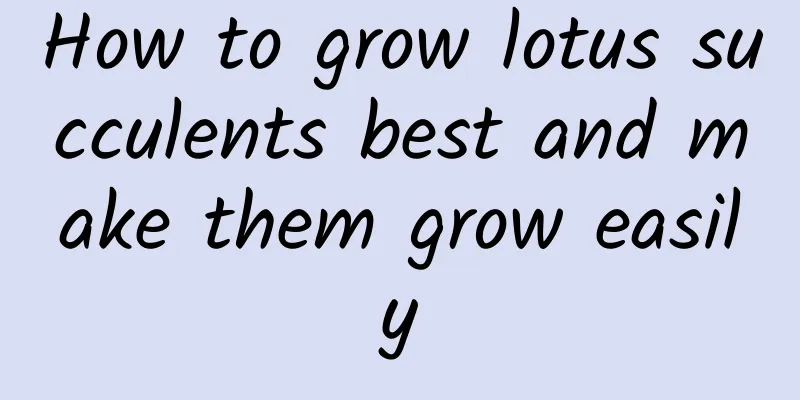 How to grow lotus succulents best and make them grow easily