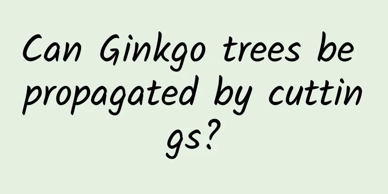 Can Ginkgo trees be propagated by cuttings?