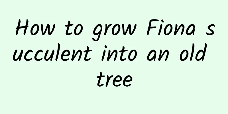 How to grow Fiona succulent into an old tree