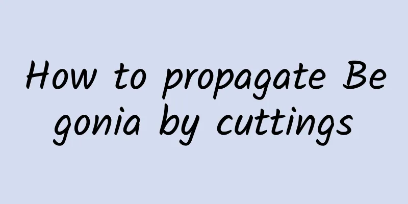 How to propagate Begonia by cuttings