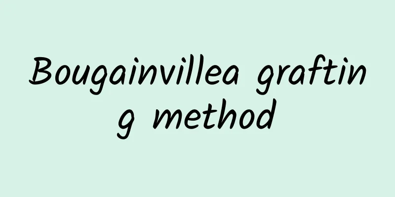 Bougainvillea grafting method