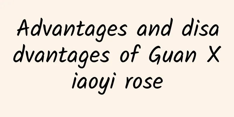 Advantages and disadvantages of Guan Xiaoyi rose