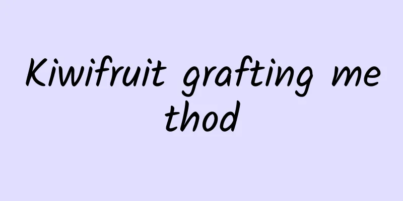 Kiwifruit grafting method