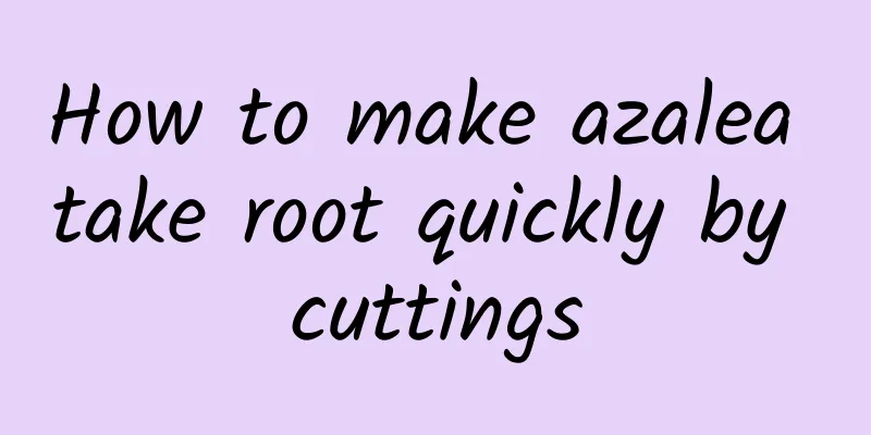 How to make azalea take root quickly by cuttings