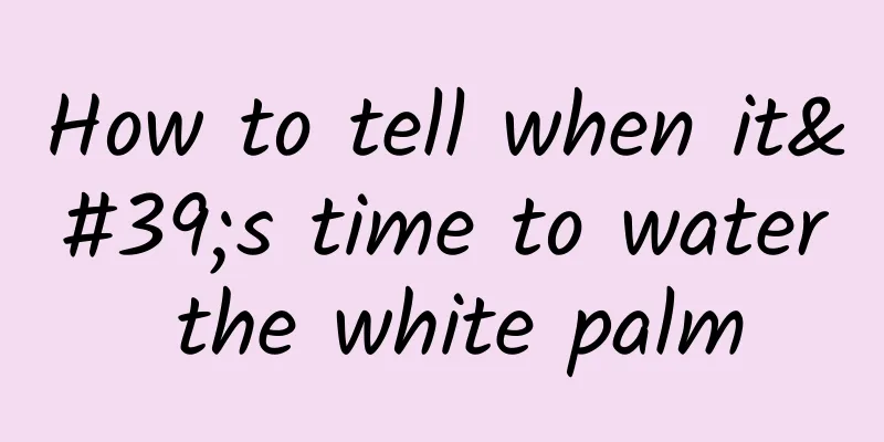 How to tell when it's time to water the white palm