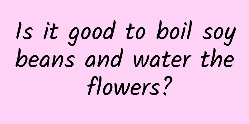 Is it good to boil soybeans and water the flowers?