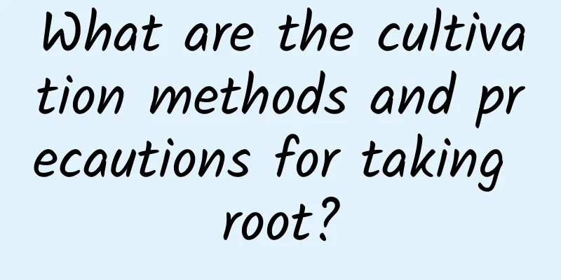 What are the cultivation methods and precautions for taking root?