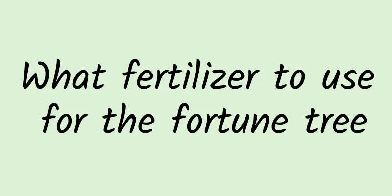What fertilizer to use for the fortune tree