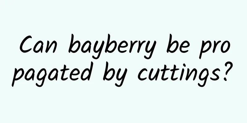 Can bayberry be propagated by cuttings?