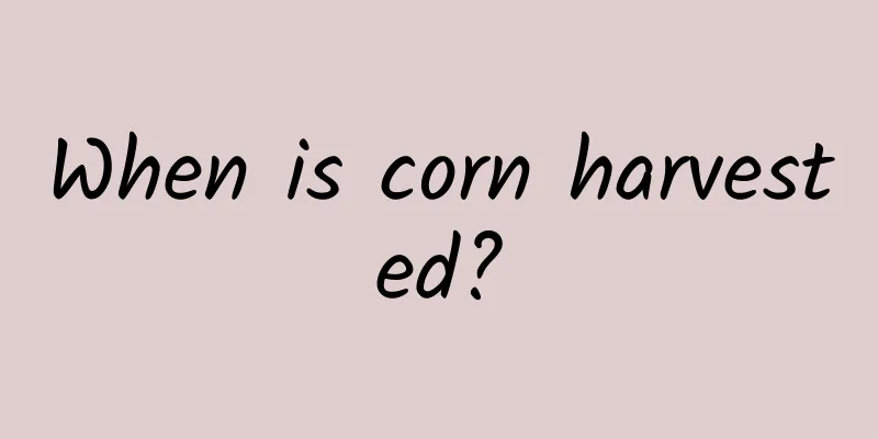 When is corn harvested?