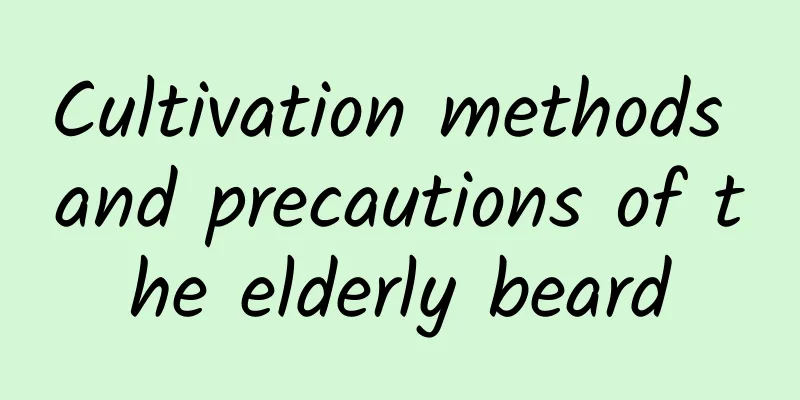 Cultivation methods and precautions of the elderly beard
