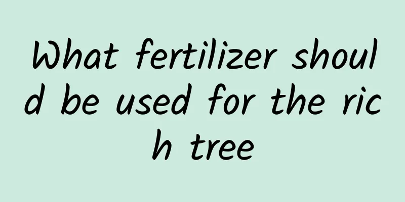 What fertilizer should be used for the rich tree