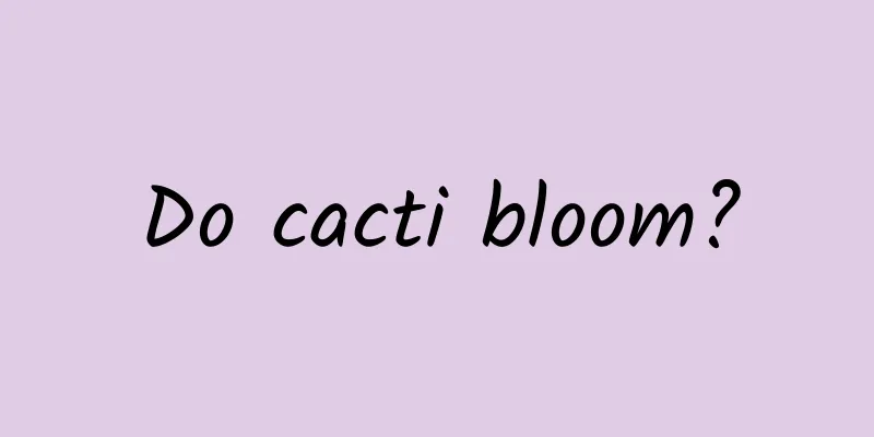 Do cacti bloom?