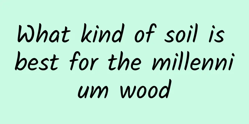 What kind of soil is best for the millennium wood