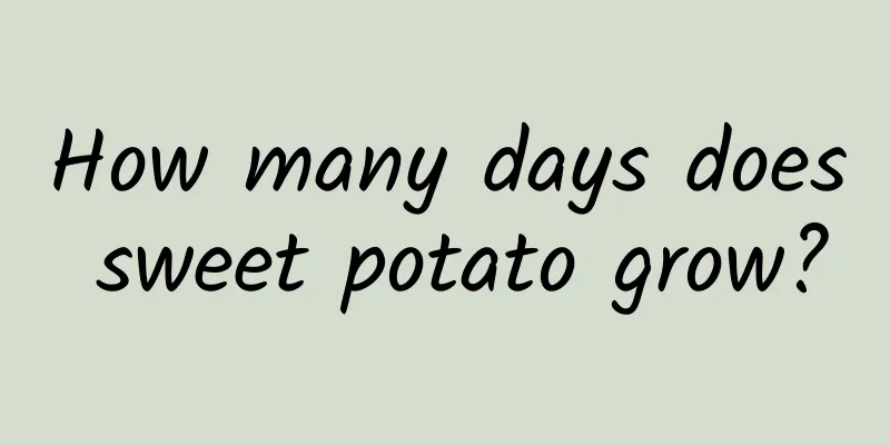 How many days does sweet potato grow?