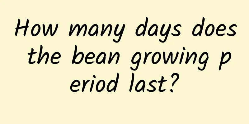 How many days does the bean growing period last?