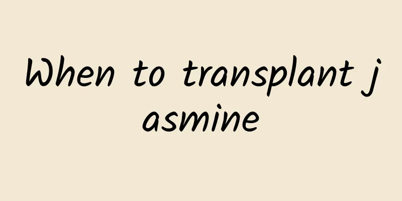 When to transplant jasmine