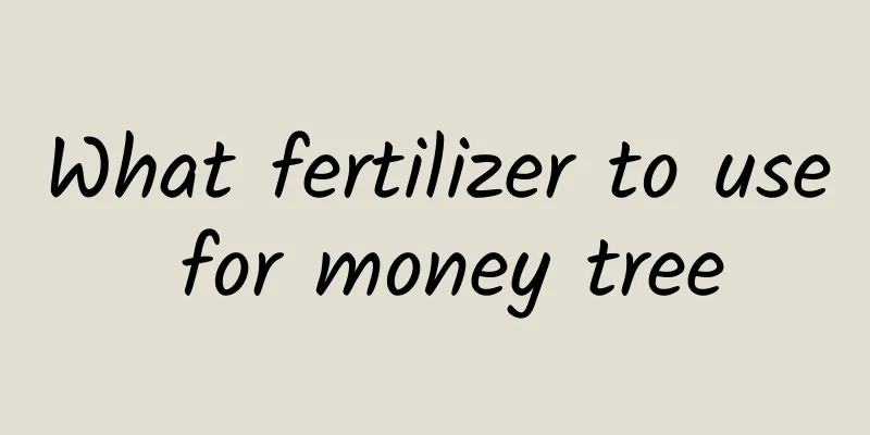 What fertilizer to use for money tree