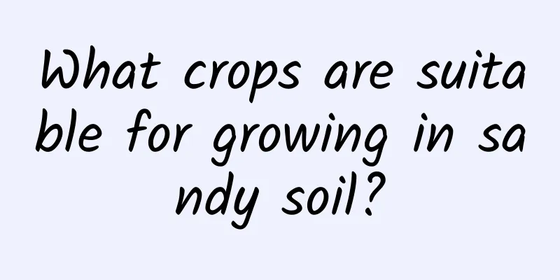 What crops are suitable for growing in sandy soil?