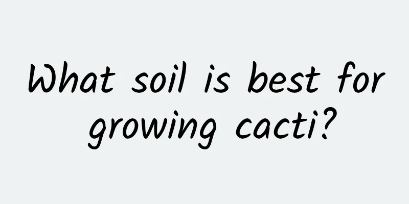 What soil is best for growing cacti?
