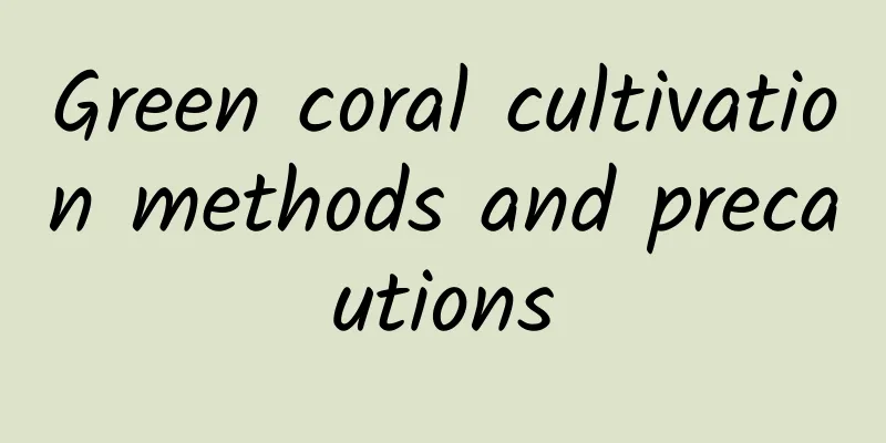 Green coral cultivation methods and precautions